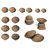 Tactile Shells - Eco-Friendly - Set of 36
