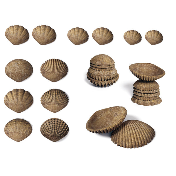 Tactile Shells - Eco-Friendly - Set of 36