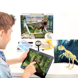 Paleo Hunter™ Dig Kit for STEAM Education - Stegosaurus