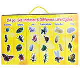 Life Cycle Figurines Set, 24 Pieces