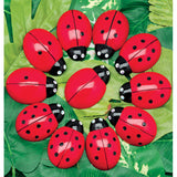Ladybugs Counting Set, Pack of 22